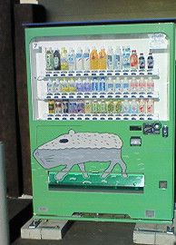 カピバラ自販機！